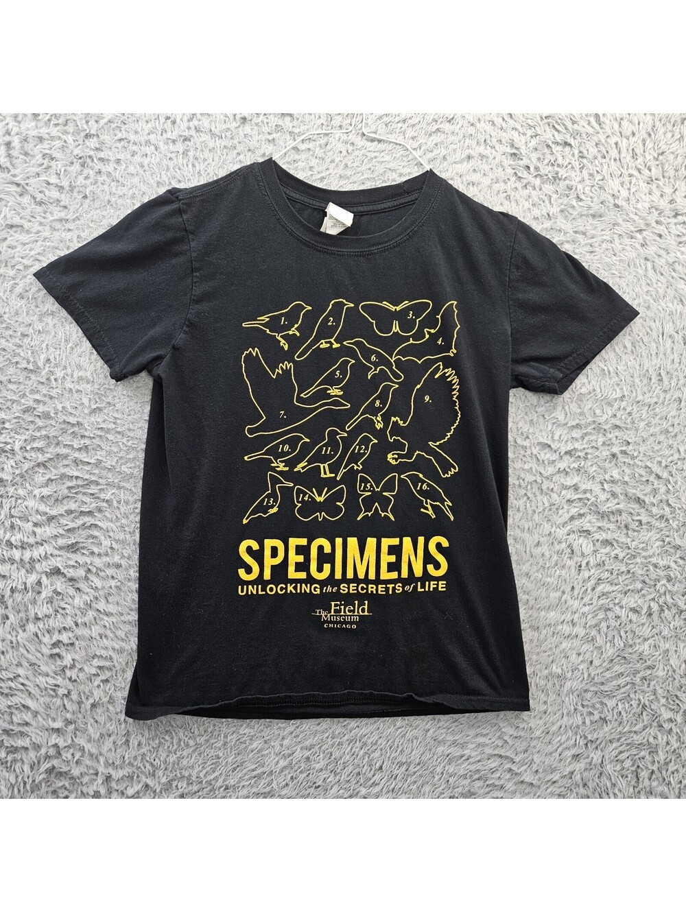 Field Museum Chicago T Shirt Small Specimens Birds Butterflies Black Quiz Shirt